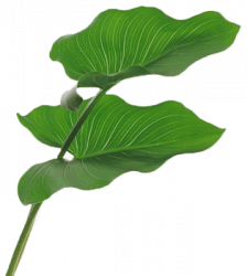 img_1.png